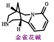 金雀花堿結(jié)構(gòu)式